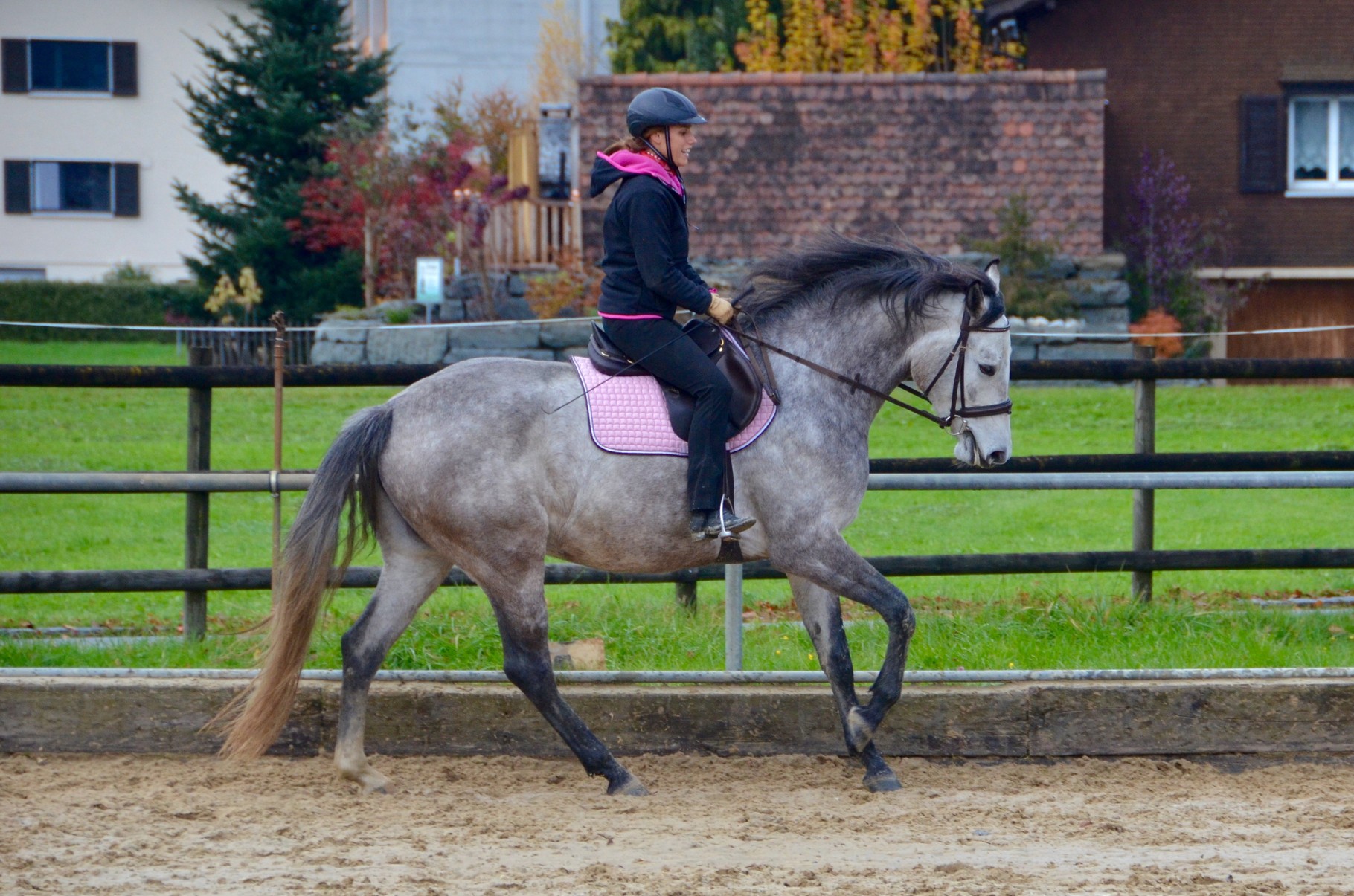 Ziel ist, dass das Pferd Dich gesund tragen kann Westernreiten Toggenburg Ziel ist, dass das Pferd Dich gesund tragen kann Westernreiten Toggenburg