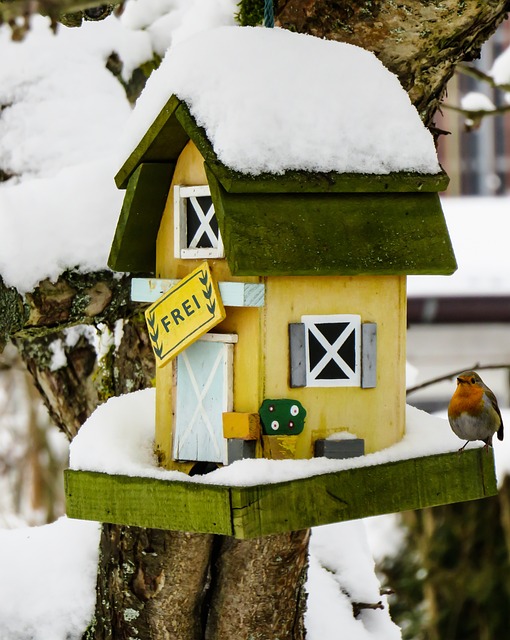 Dumme Fehler führen Mäuse ins Haus