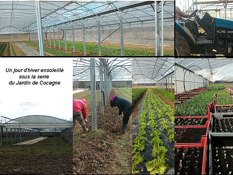 Jardin de Cocagne de Saint-Quentin en Yvelines (photo Jardin de Cocagne)