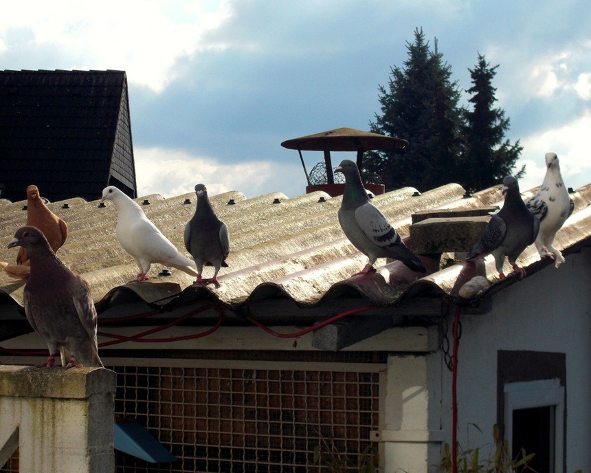 gemeinsam unterwegs
