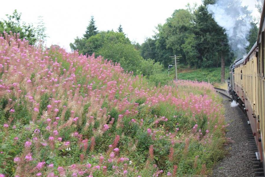 Mit der Severn Railway nach Bridgnorth