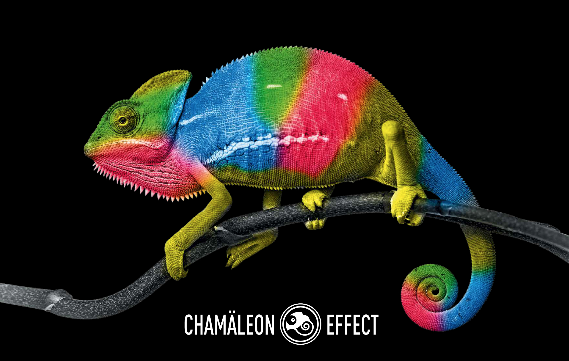 STUCCORINO Chamäleon Effect – Moderne Farbgestaltung im Wechselspiel mit dem Licht