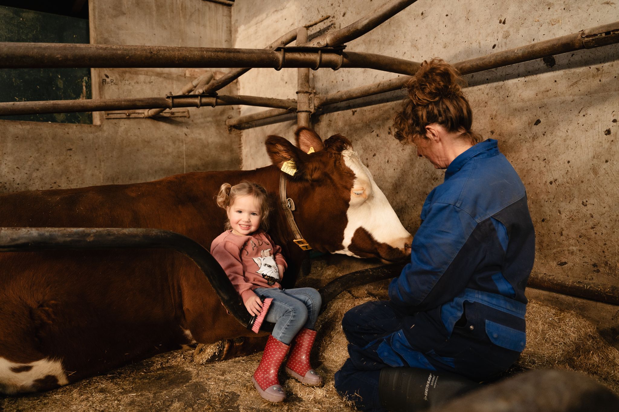 Onder toezicht mogen kleine kinderen ook kennismaken met de koeien.
