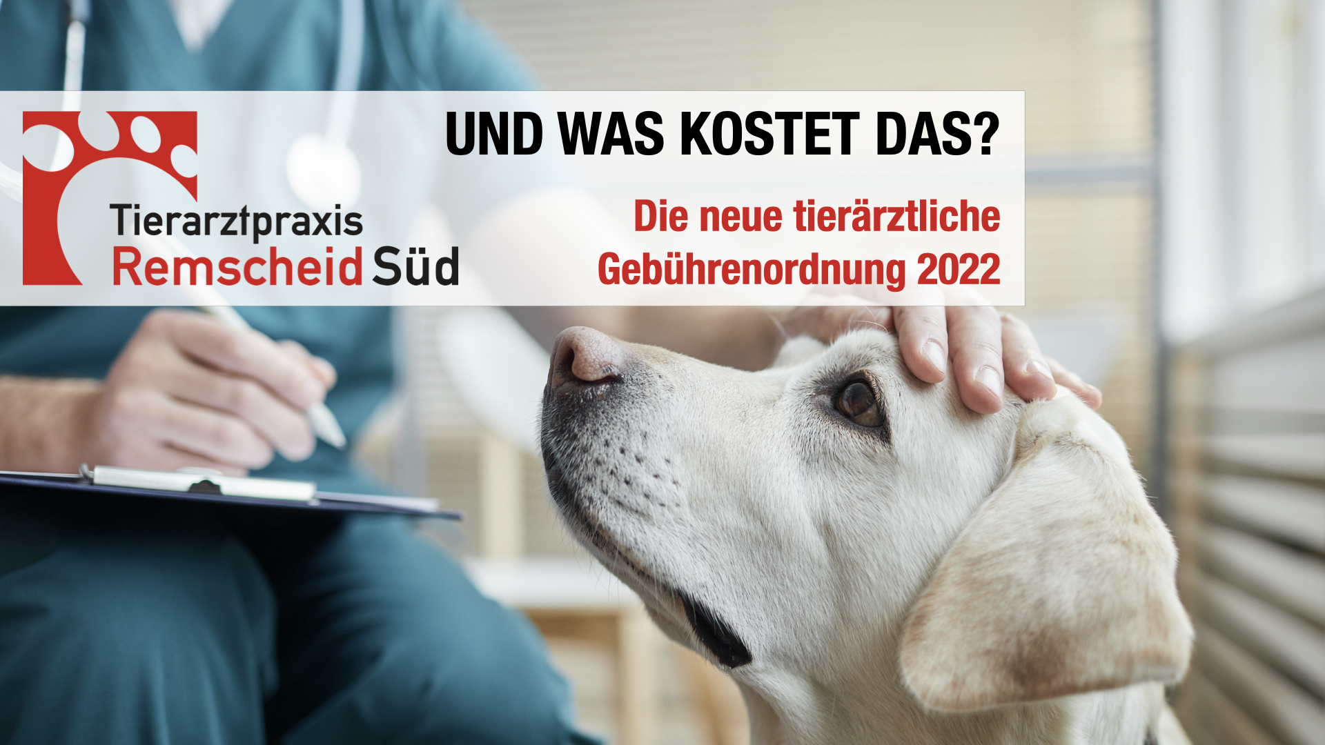 UND WAS KOSTET DAS? Die neue Gebührenordnung für Tierarztpraxen kommt 2022