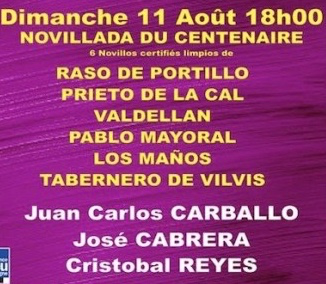 Novillos de Raso de Portillo (1 et 6), Prieto de la Cal, Valdellan, Pablo Mayoral et Los Maños pour Juan Carlos Carballo, José Cabrera et Cristobal Reyes