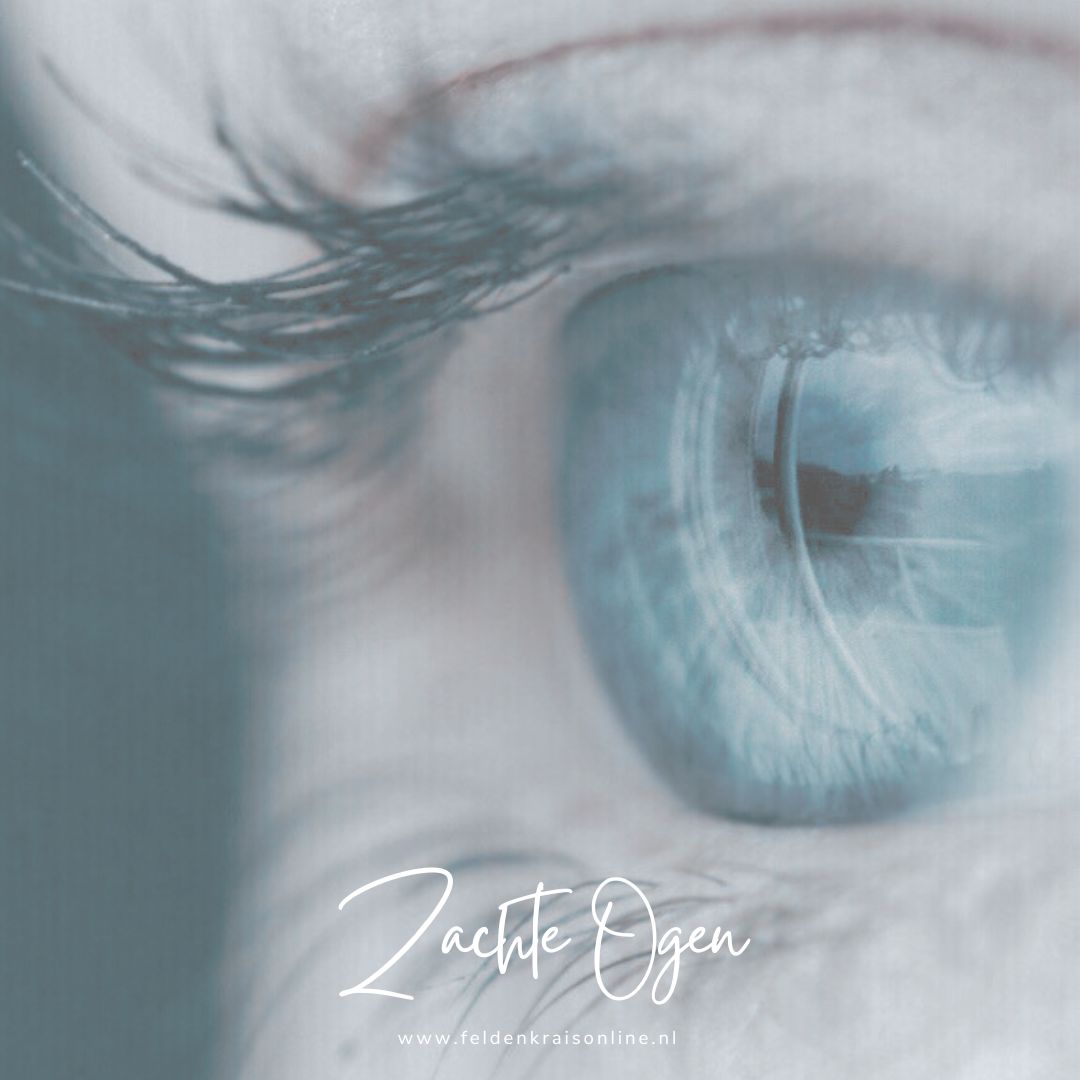 Ik zie, ik zie wat jij niet ziet… en de kleur is ontspanning!