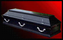 Totenkopf und Sarg / Skull and Coffin