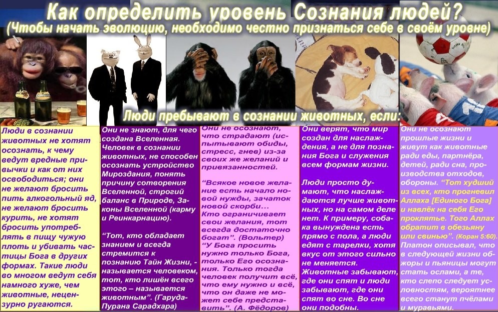 Как определить что человек в сознании. Как определить что человек в сознании