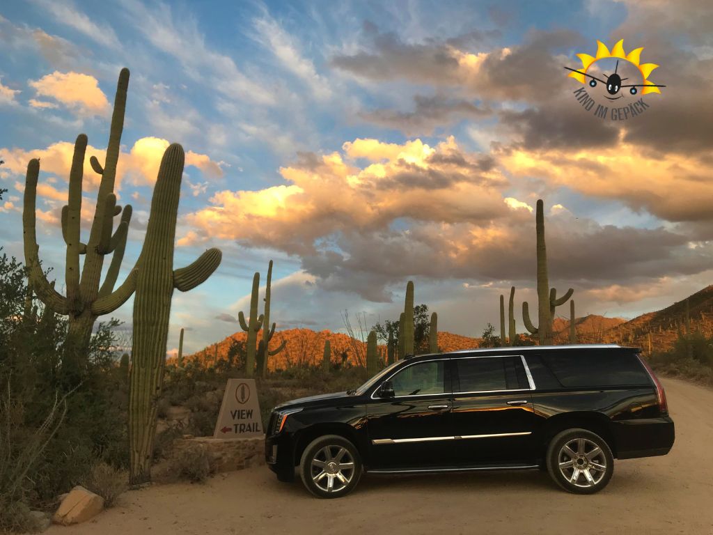 Escalade im Saguaro Nationalpark.