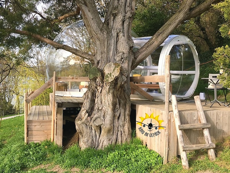 Bubble Arenenberg versteckt hinter einem großen Baum