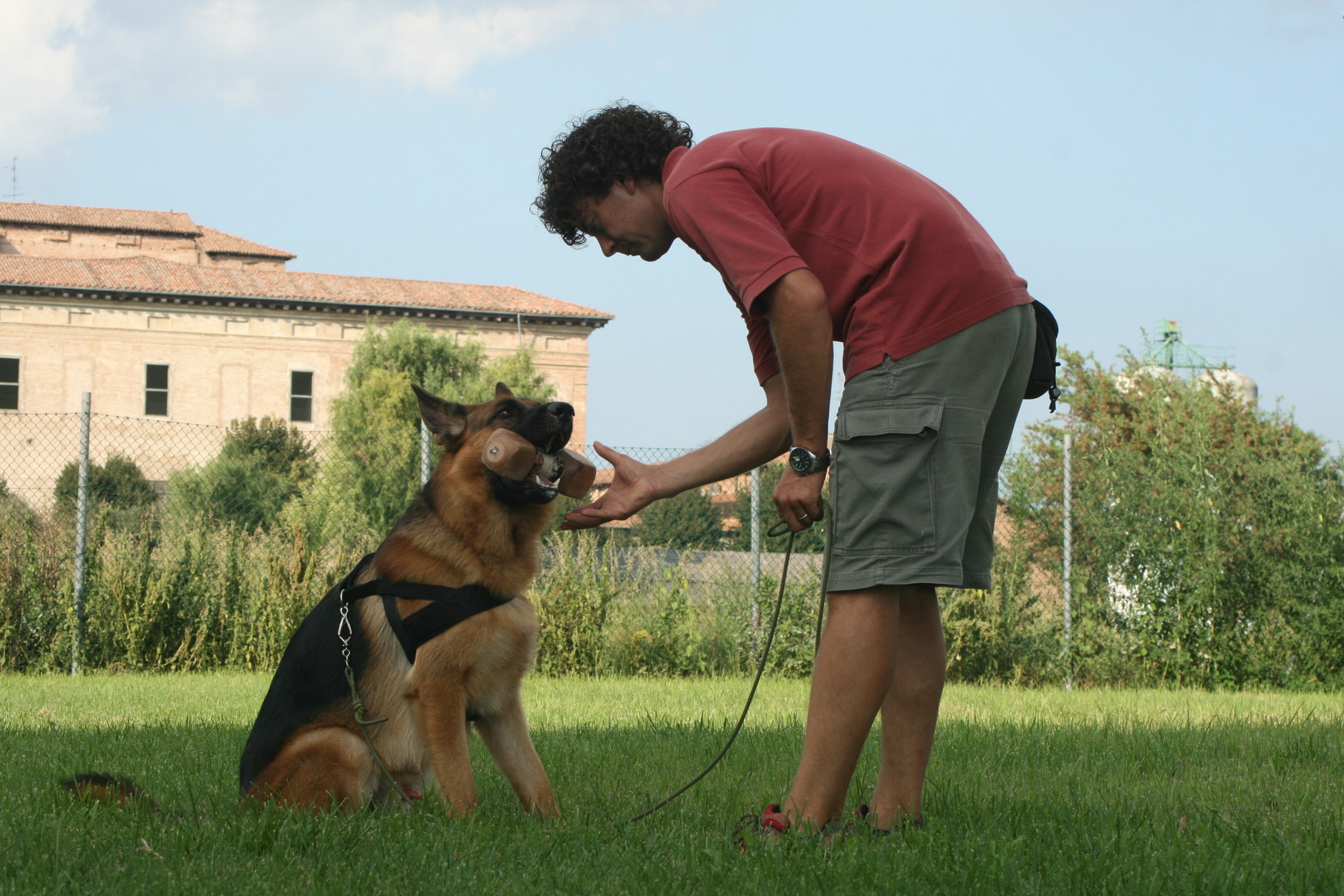 Educazione cinofila - Addestramento cani
