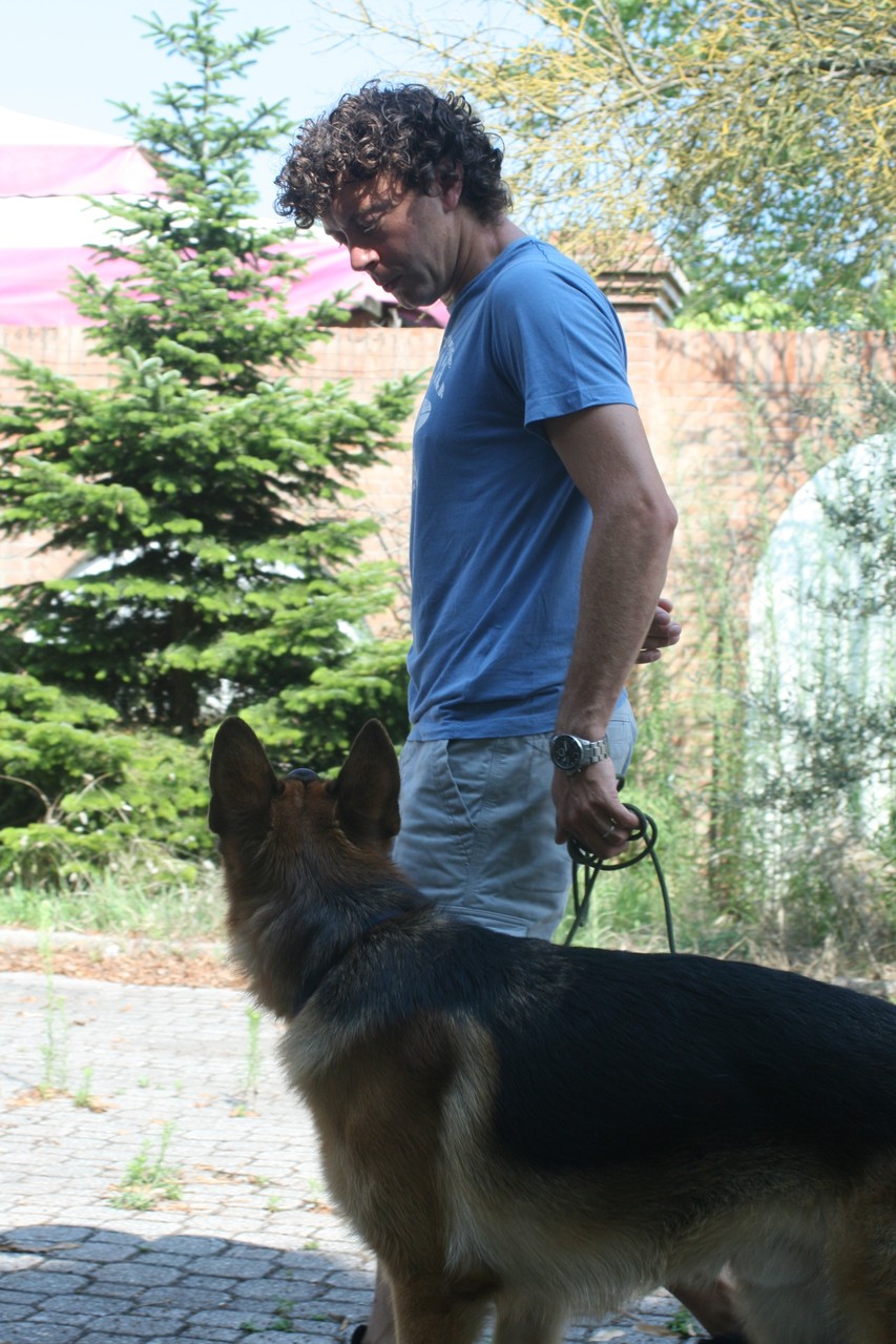 Educazione cinofila - Addestramento cani