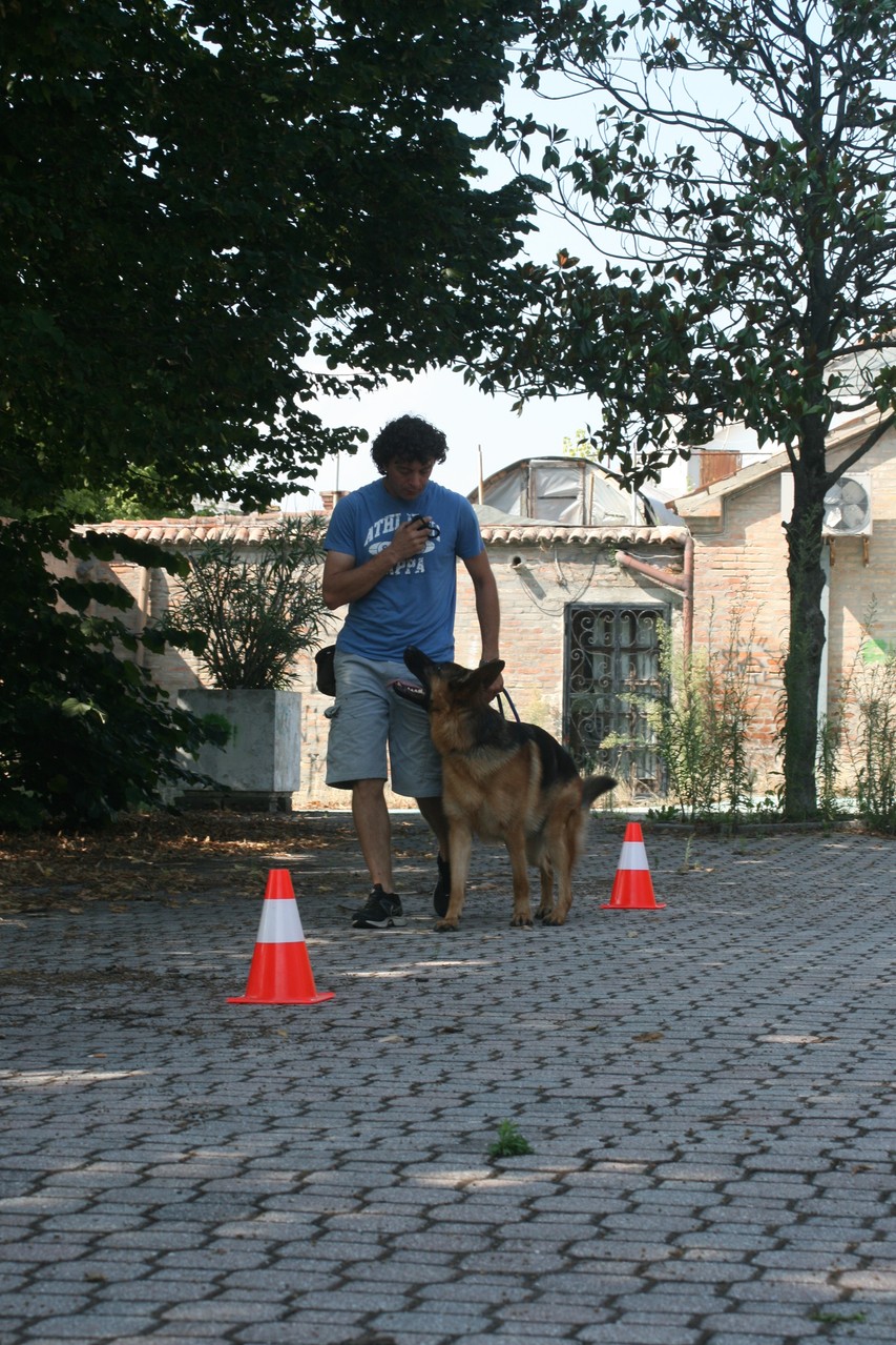 Centro Cinofilo Passion for Dogs - Bologna, Modena, Cento di Ferrara