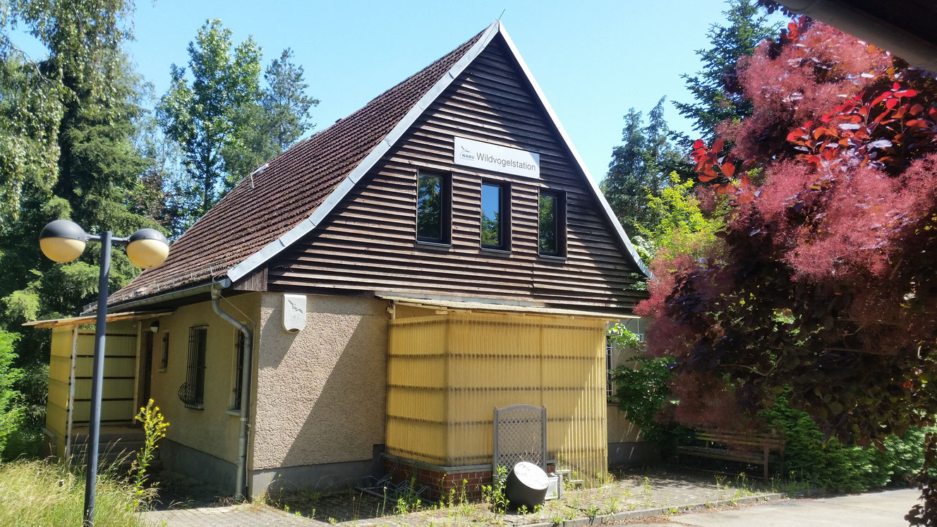 Was wird aus der Wildvogelstation?