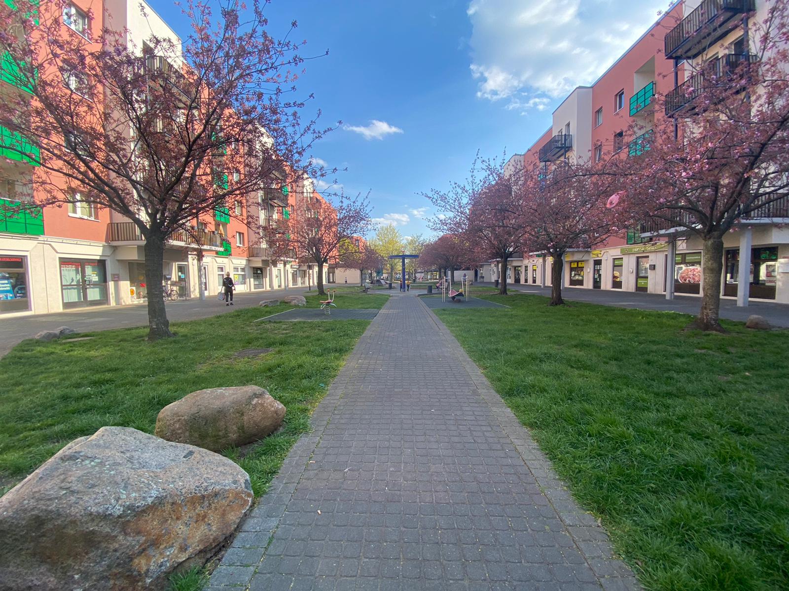 Pflanzzeit in der Hellersdorfer Promenade