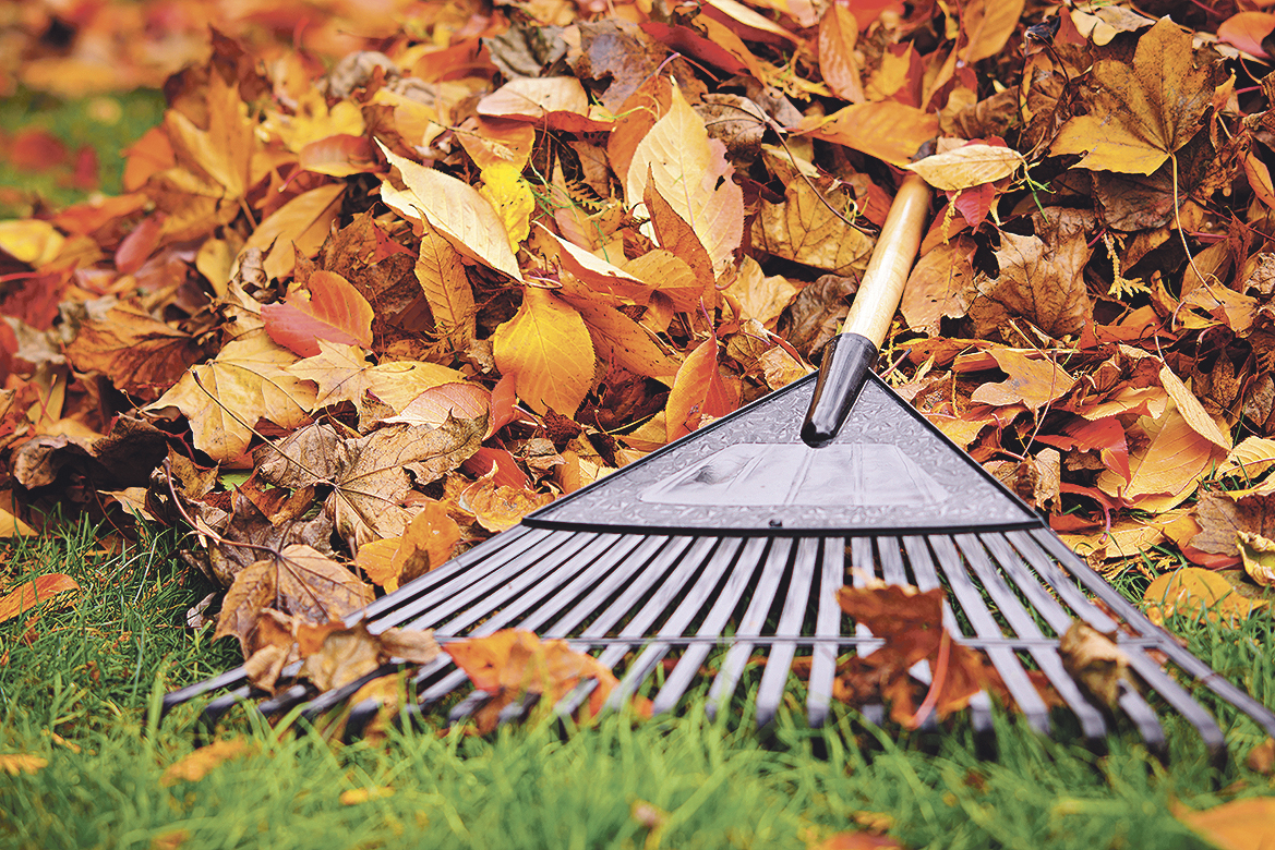 Kehrwochen im Herbst sind beendet