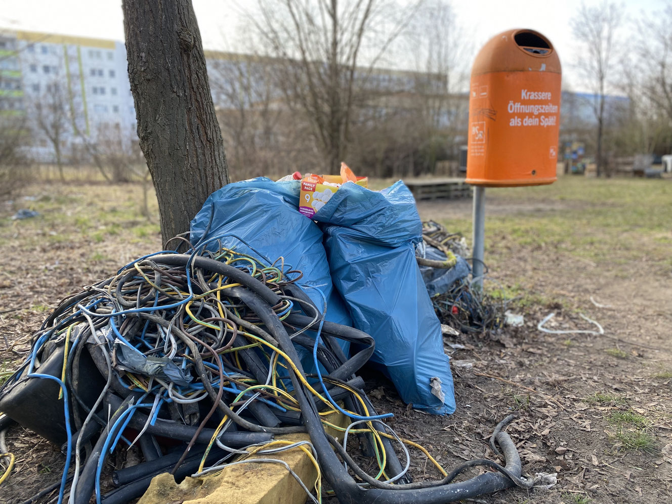 Bezirksweiter Subbotnik