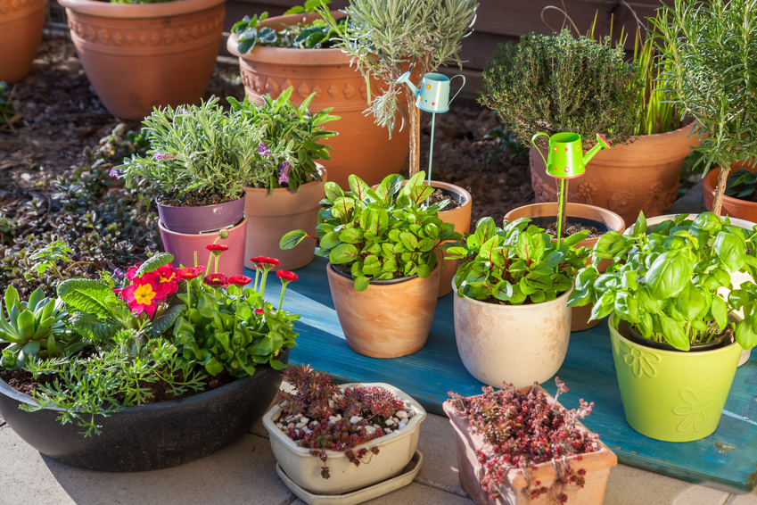 Balkon und Garten flottmachen © Brebca – Fotolia.com