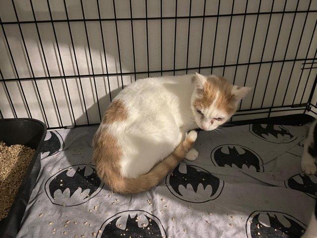 So, wie auch LUI sind wir alle sehr menschenbezogen und verschmust. 