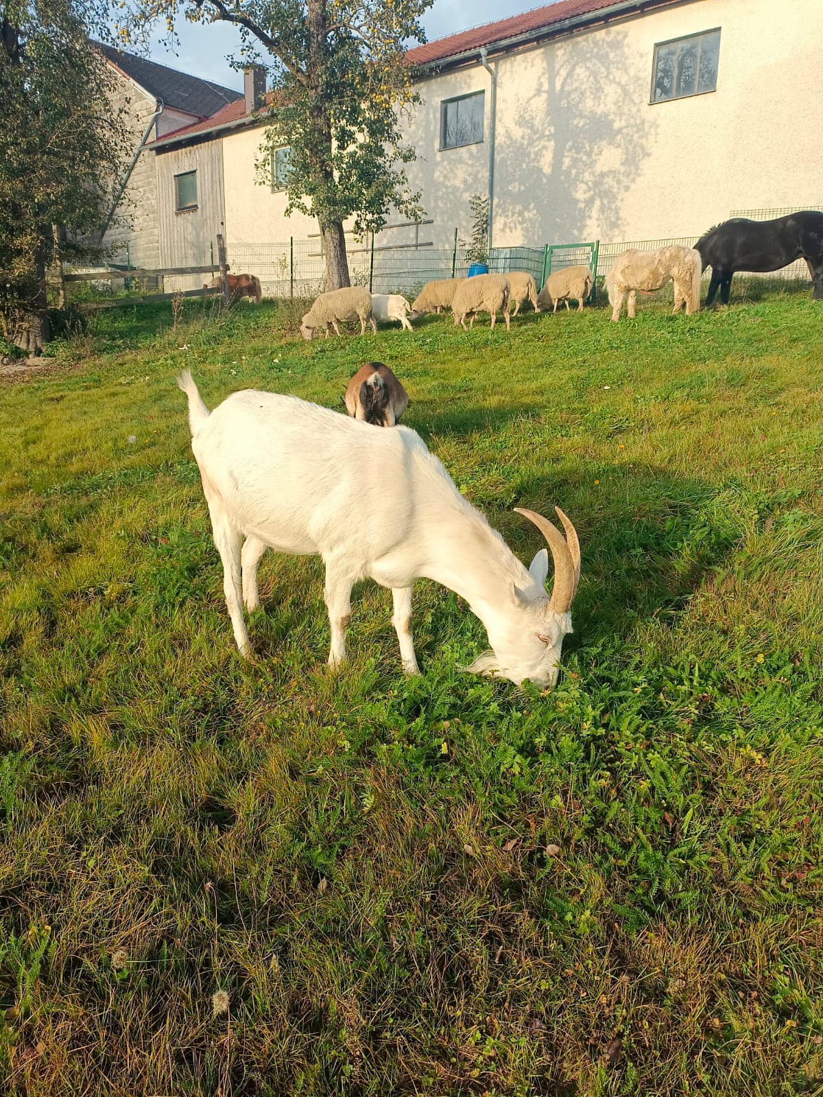 Zwischendurch noch etwas futtern!