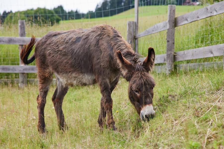 Hmmm, das Warten auf Santas Rückmeldung fällt schon ganz schön schwer für mich als Jungspunt!  
