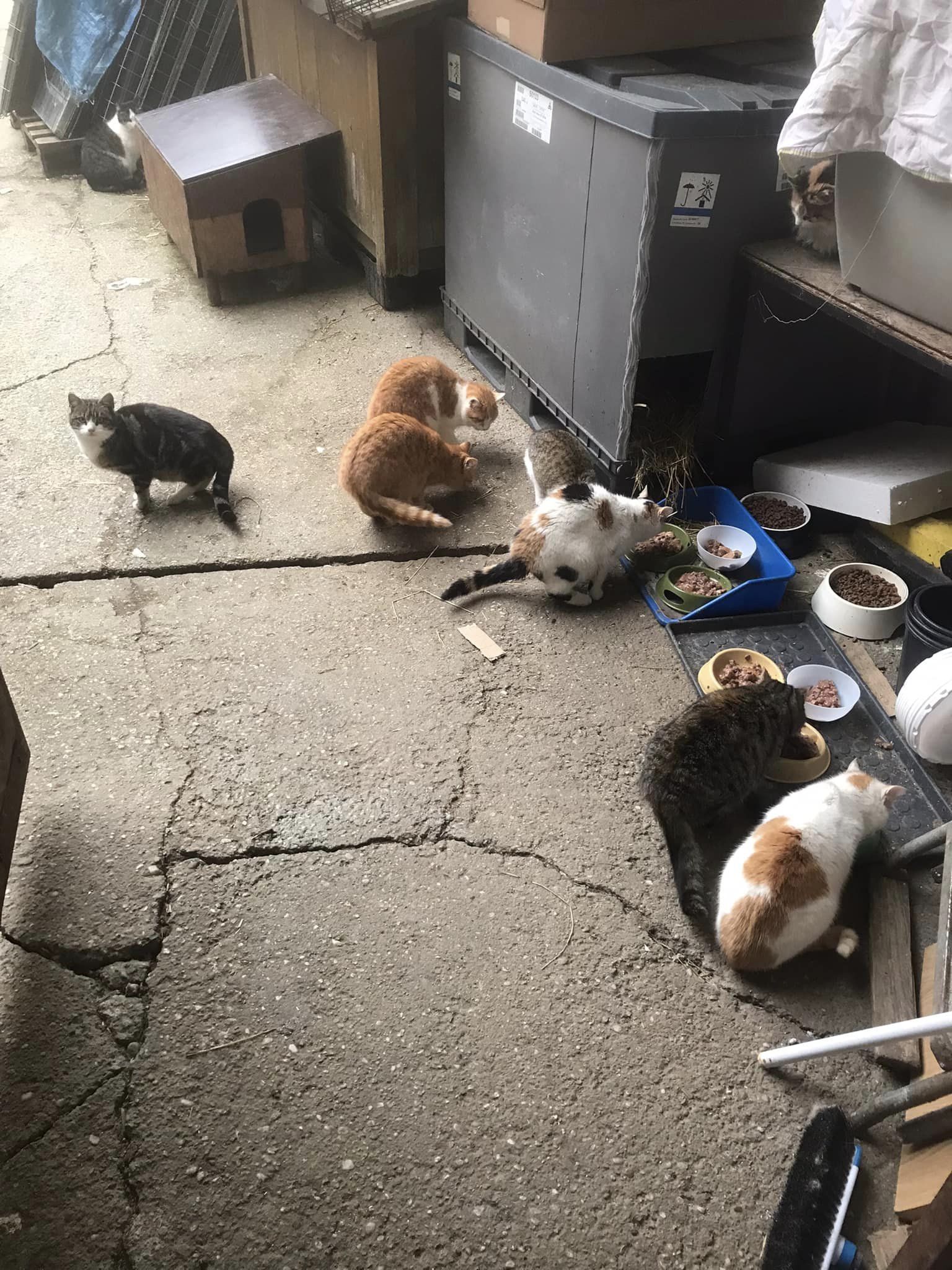 Wir wusseln eigentlich mittlerweile überall umher...