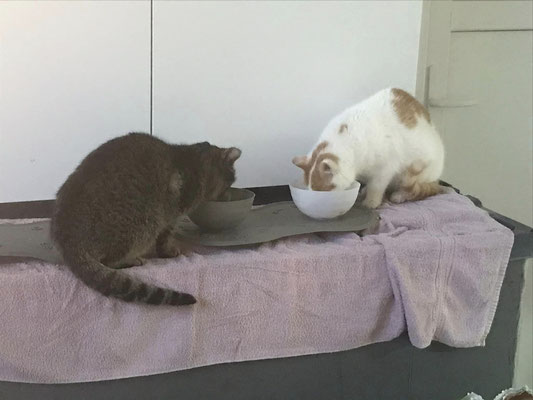 Ja, lieber Mensch! Viele von uns lernen nun mit ihrem eigenen gewählten Tempo auch die Menschennähe zu geniessen.  