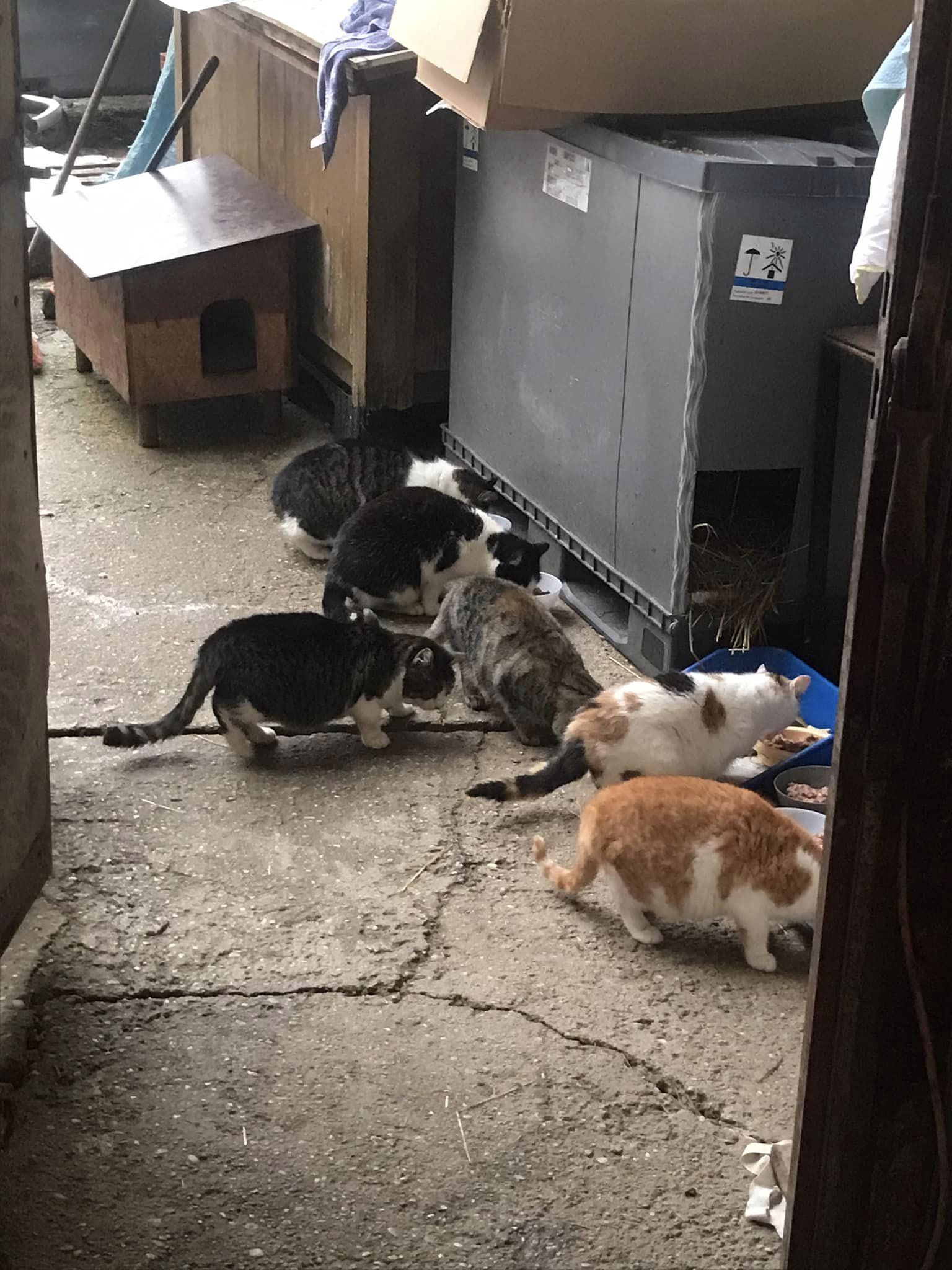 Dankbar nehmen wir diese, unsere neue Heimat an! 