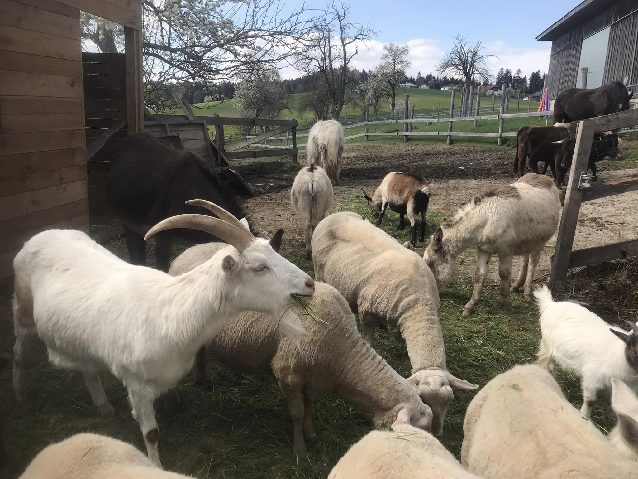 Mittendrin und voll dabei! 