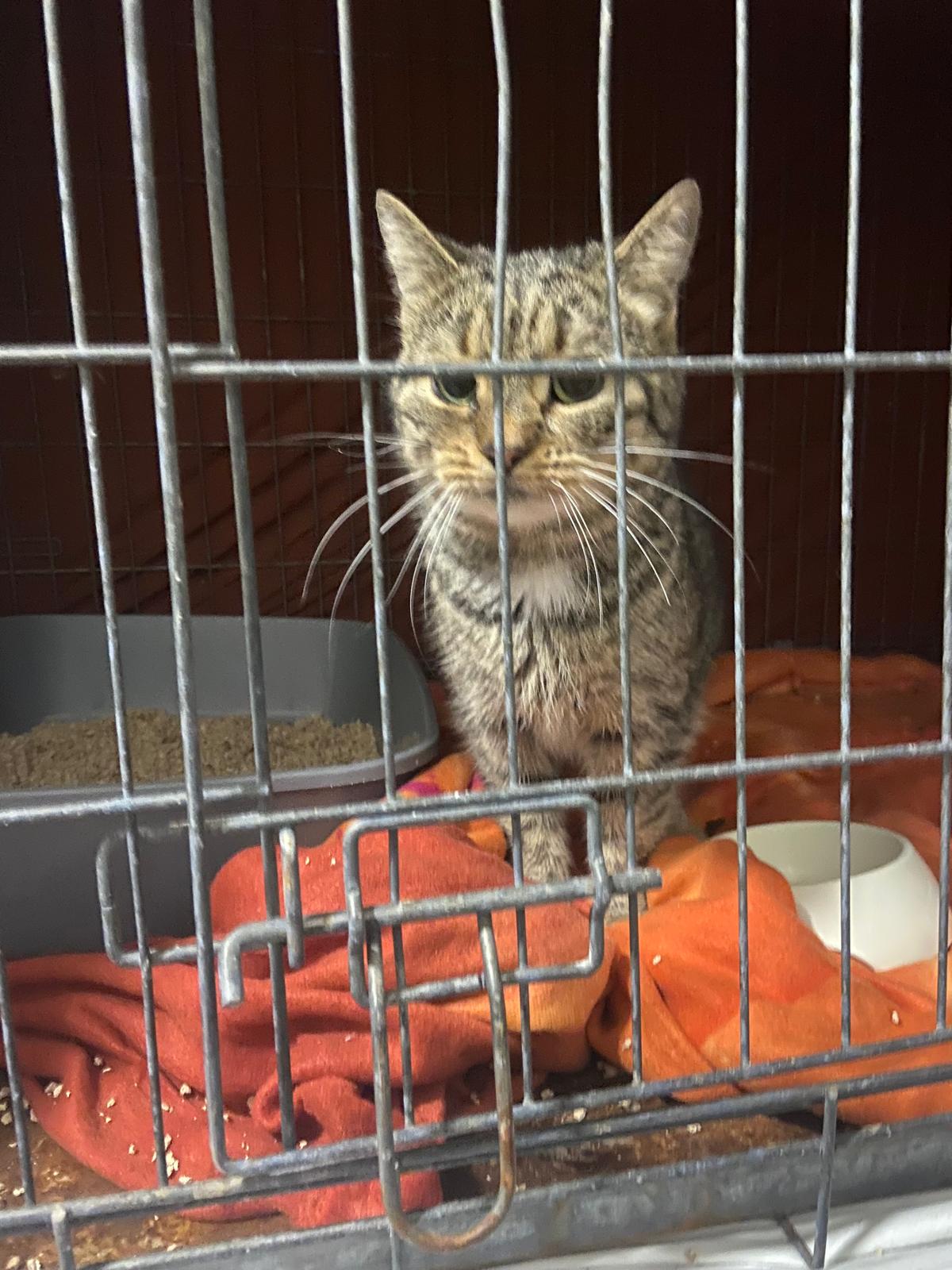 Auch Tante Mitzi vermisst ihre Familie unendlich! 