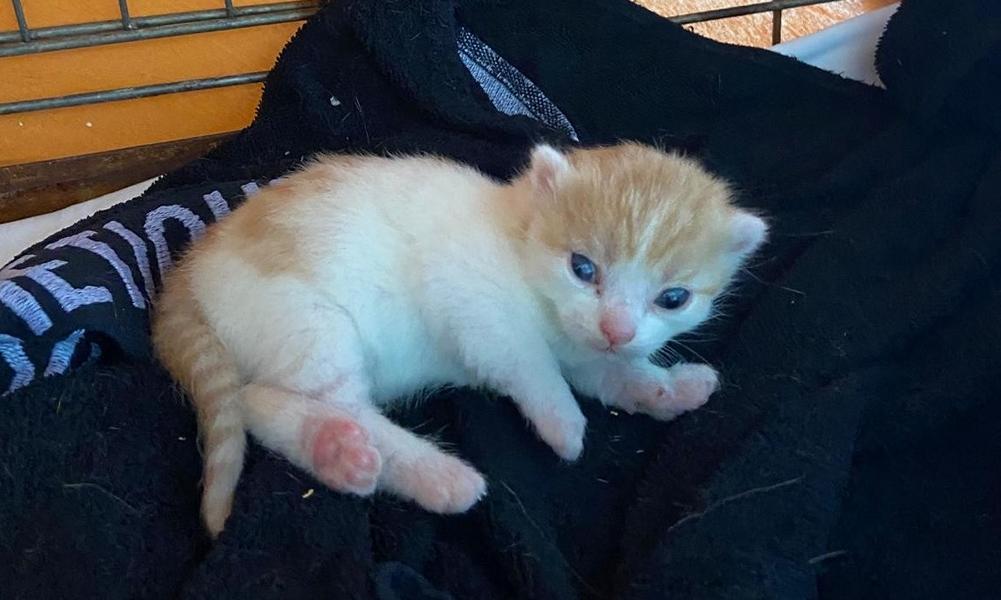 Kevin, ebenfalls ALLEINE 