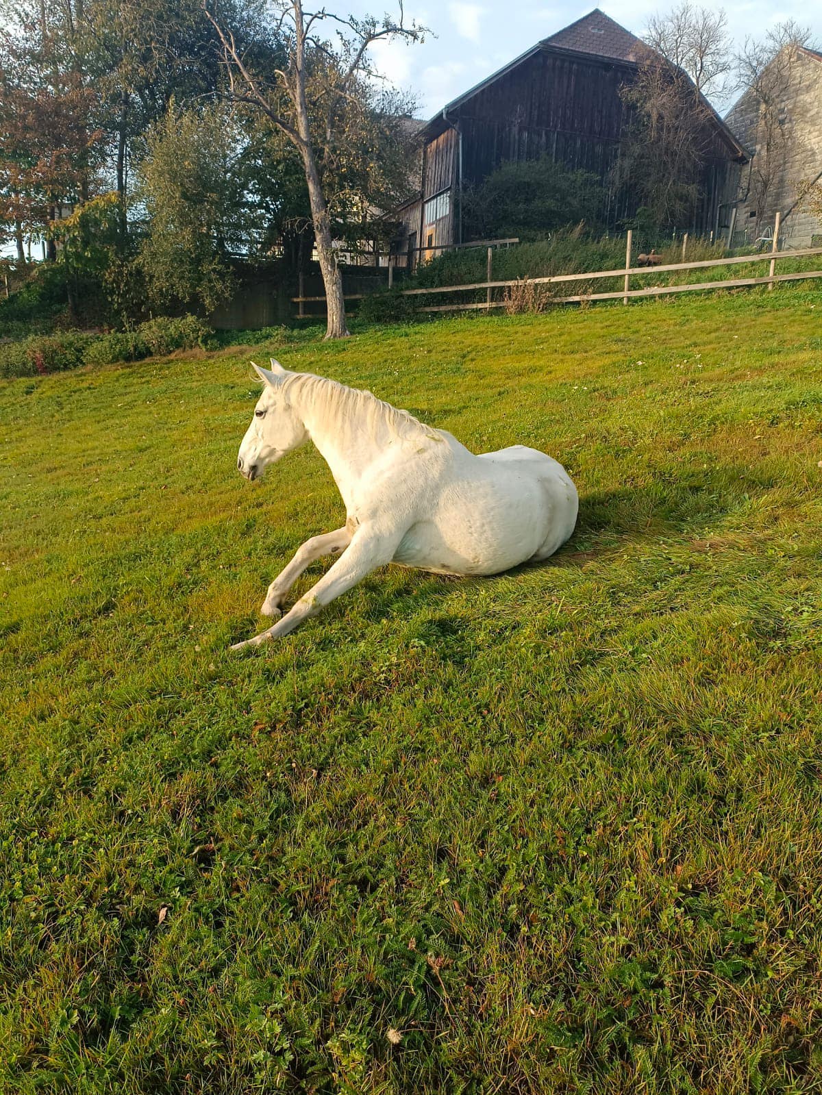 dass wäre wirklich fein! 