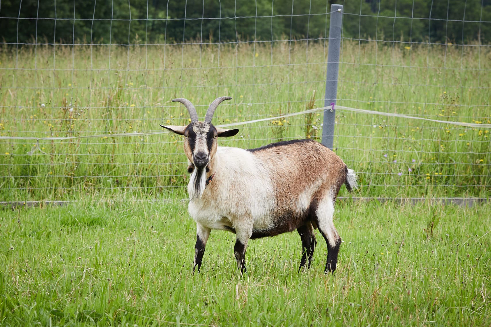 Ojee, der Winter naht!!! Da braucht`s noch ordentlich Hüftnahrung! 