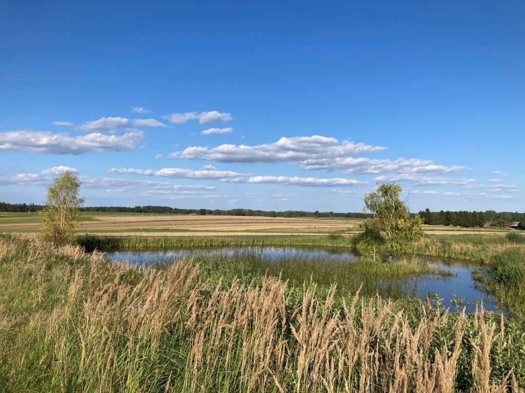 Teichlandschaft bei Ullrichs