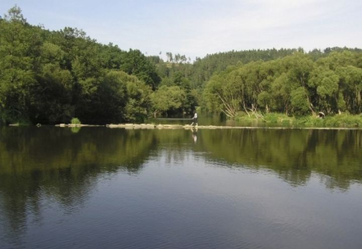 Foto Flusslandschaft bei Drosendorf