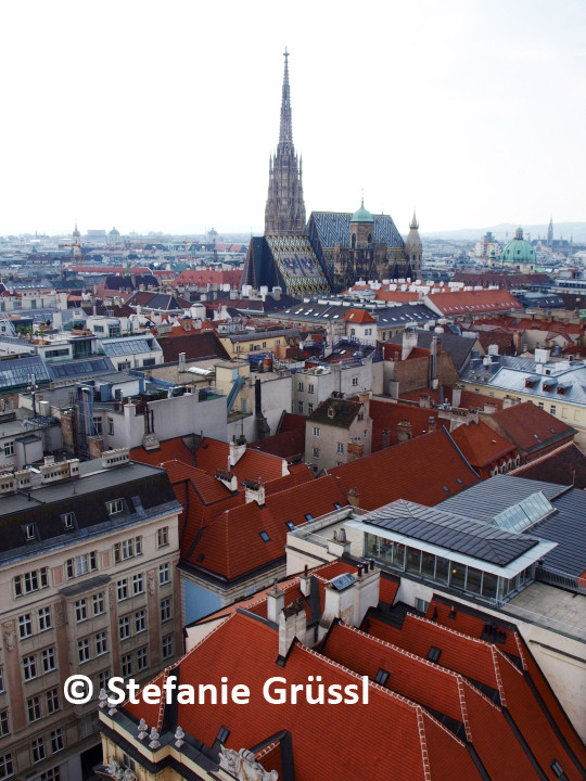 23 Von Jesuitenkirche aus gesehen