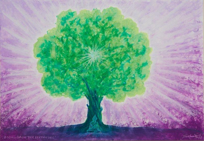 Bodhi - Baum der Erkenntnis      (c) Stefanie Grüssl