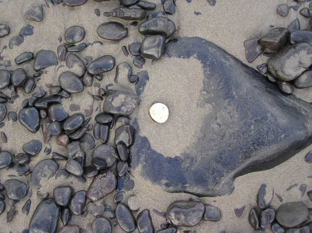 "Intagration.....Ganzheit ohne Ausgeschlossenheit"   Foto Stefanie Grüssl 