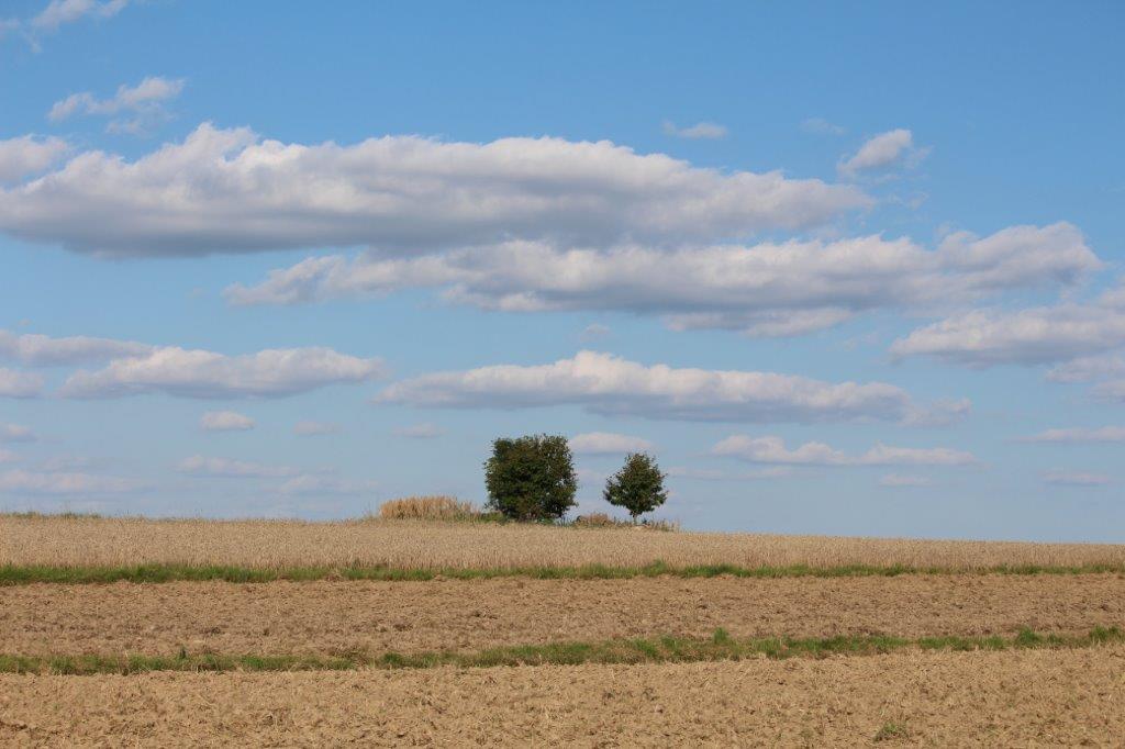 Es wird heller, die Wolken verziehen sich.