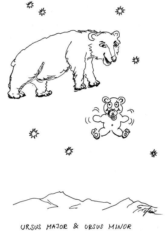 "Ursus Major und Ursus Minor" © Stefanie Grüssl