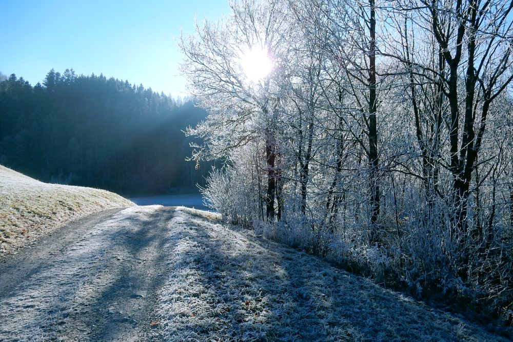 Dezember - Bad Häring, Tirol, © Stefanie Grüssl