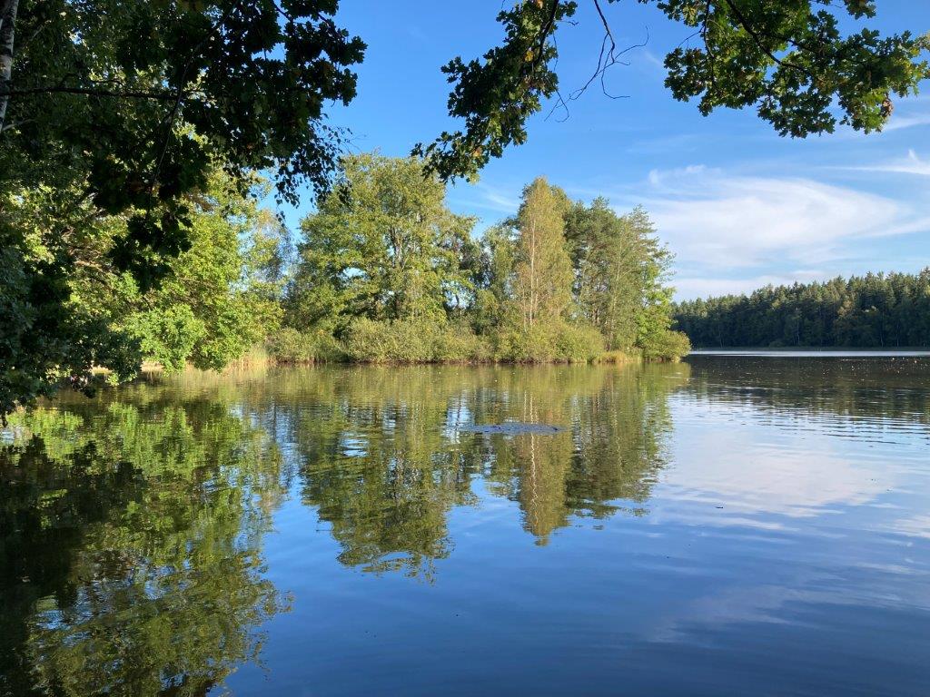 Mitterteich in Abendsonne