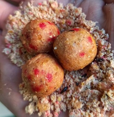 Fish mix gusto frutta