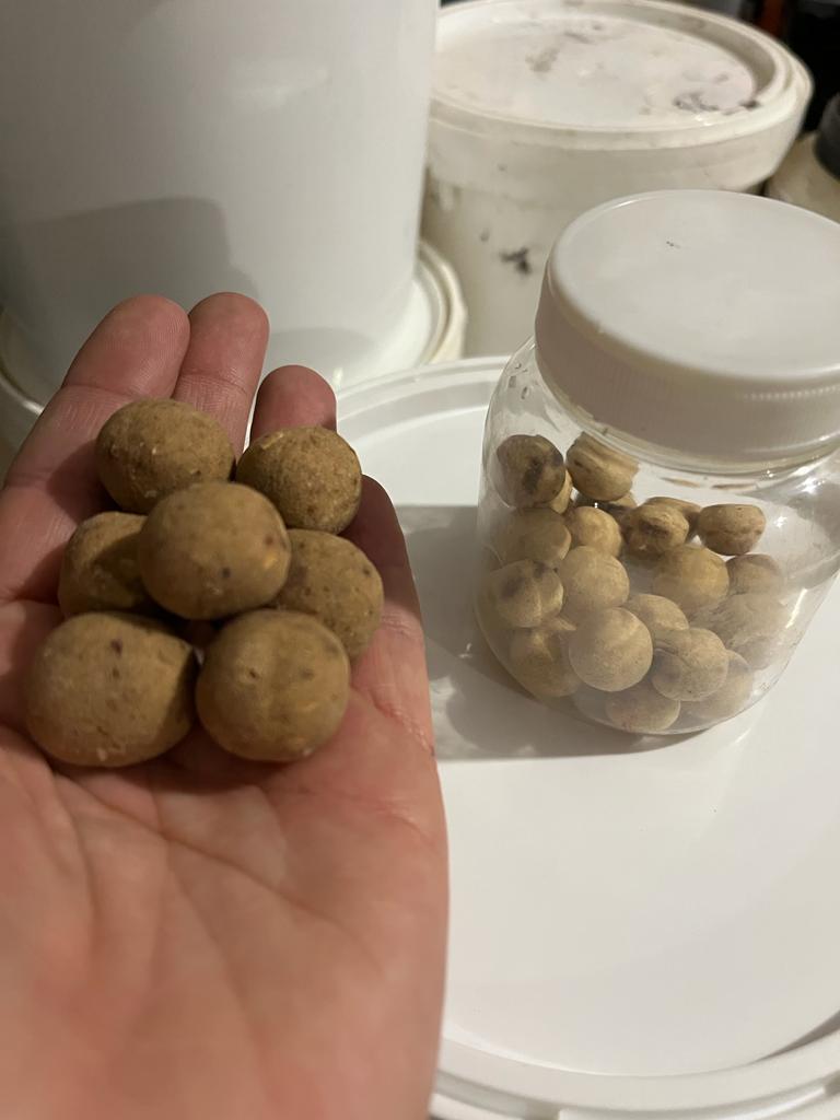 Rosehip boilies replica