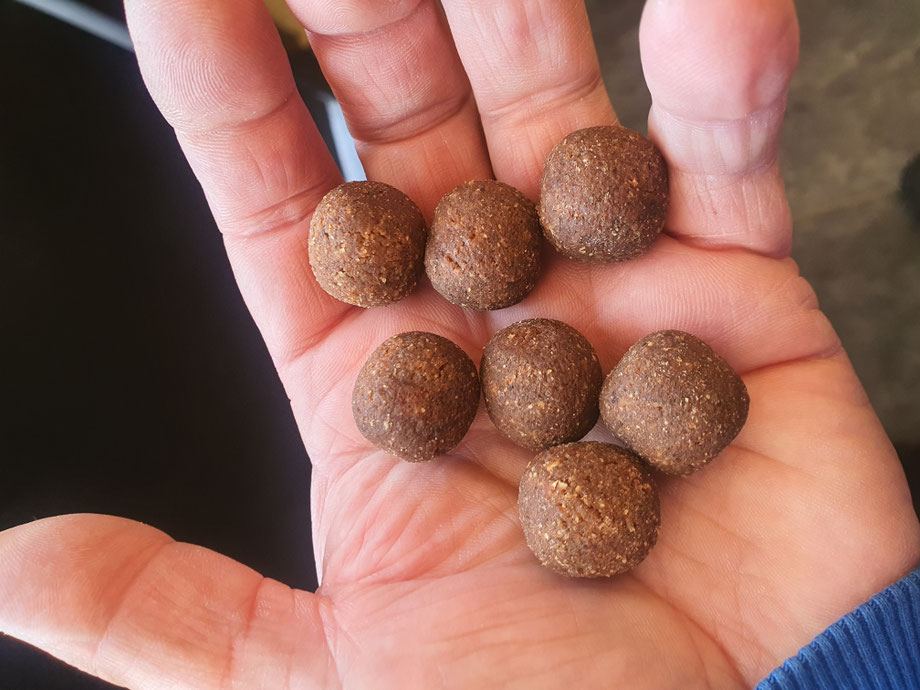 Boilie-Mix richtig aufbauen: Fishmeal- und Birdfood-Mix für Karpfen