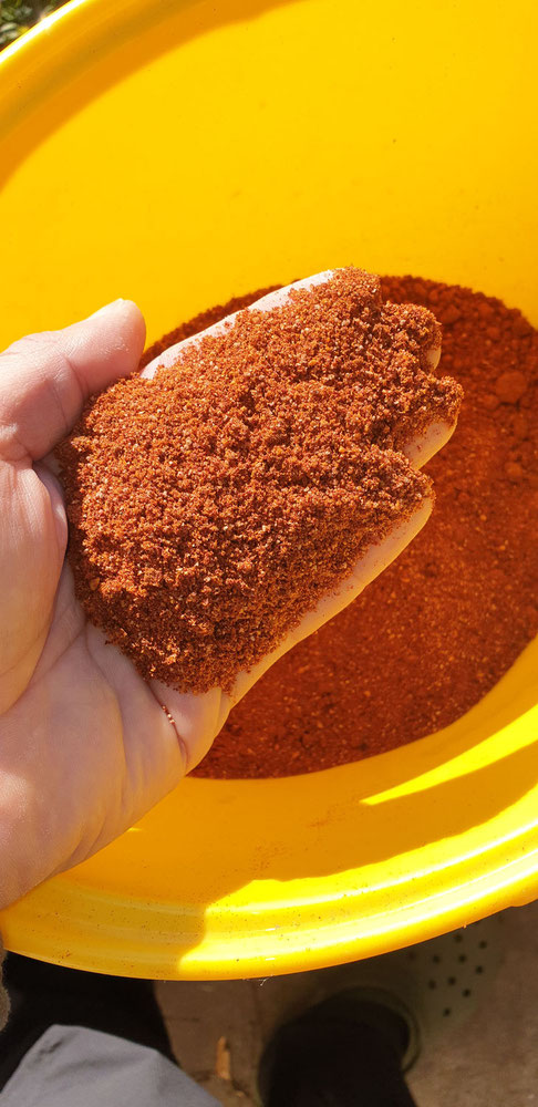 Salziges Birdfood für Boilies selber machen: Rezept für Fishmeal-Mixe