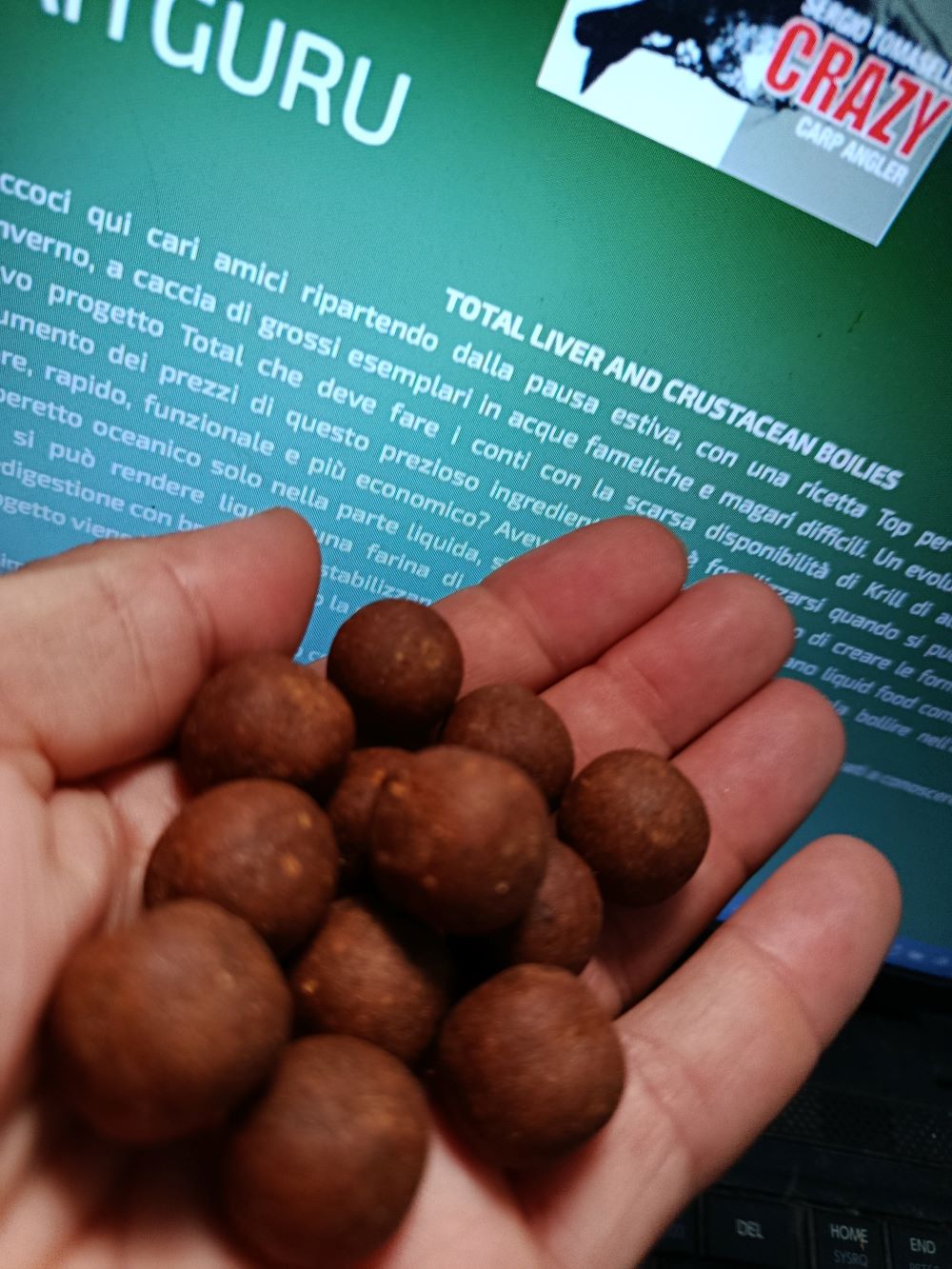 Liver and crustacean boilies