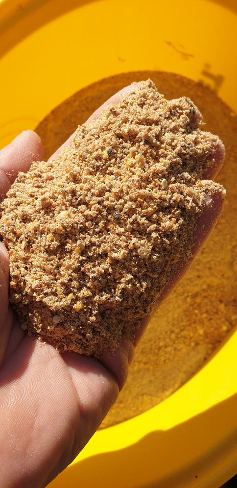 Süßes Birdfood für Boilies selber machen: Einfaches Rezept für Karpfenköder