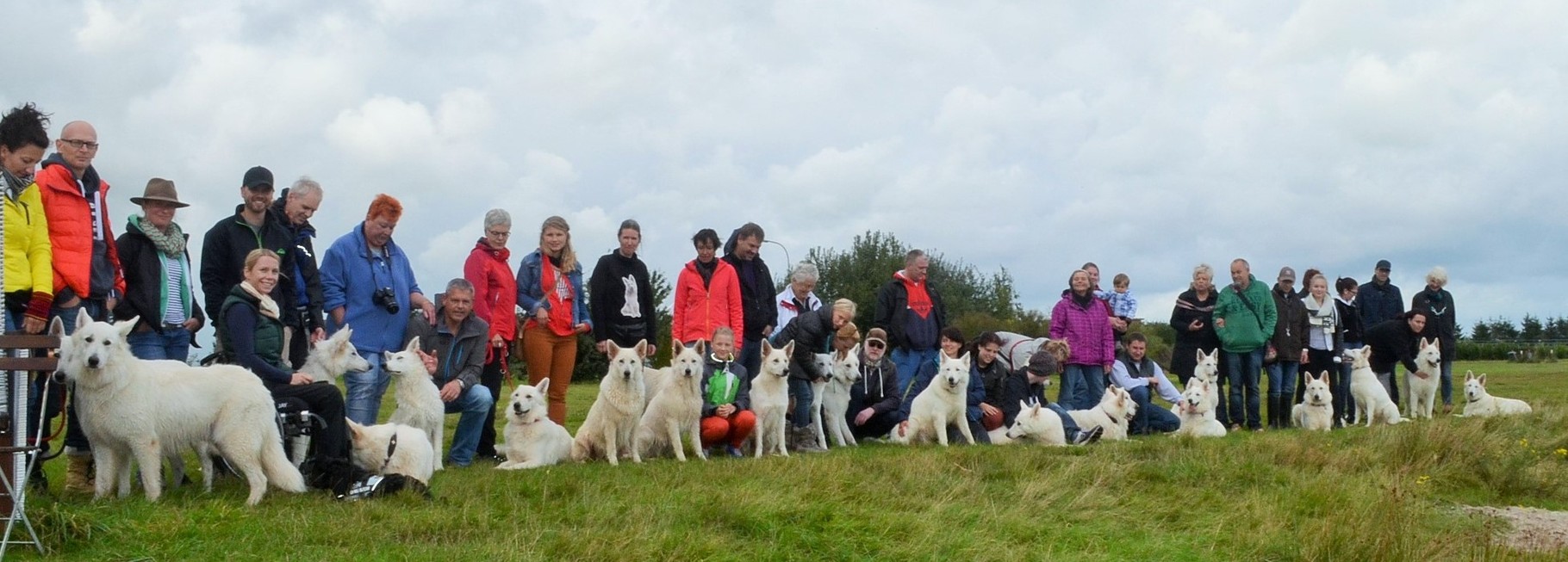 Welpentreffen Zuchtstatte Fur Weisse Schaferhunde Of White Night