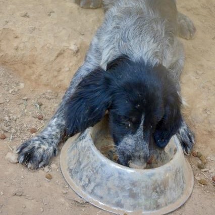 Foto: ©Esther Hufschmid